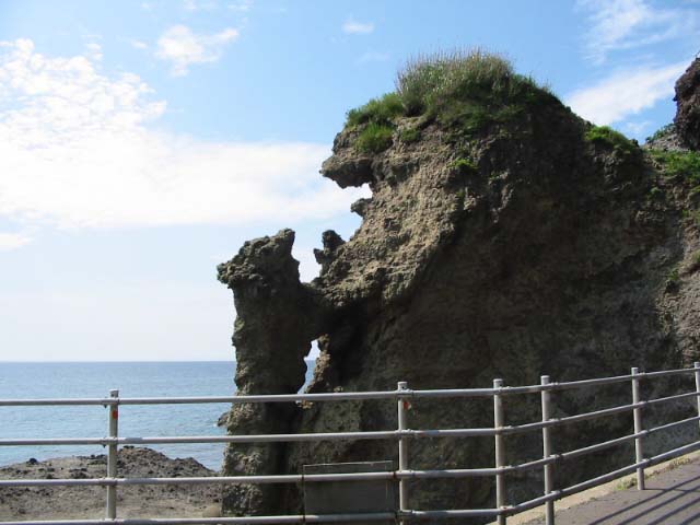 taisei 006